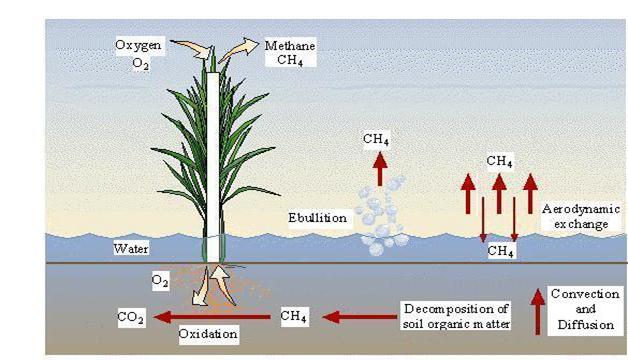 ..\images\methane\Methane rifatta2.JPG